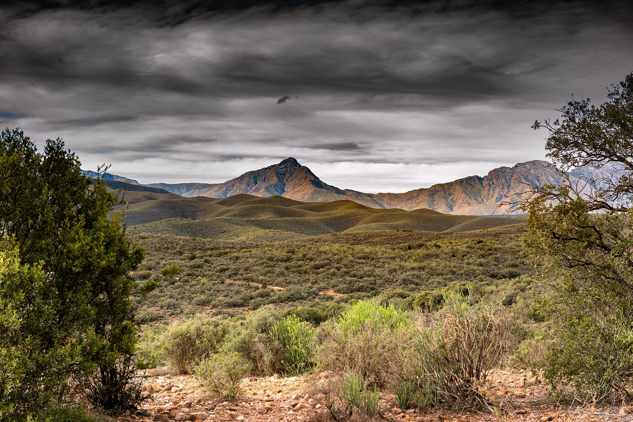 Kora Advisory - Supporting NGOs in complex and fragile contexts worldwide